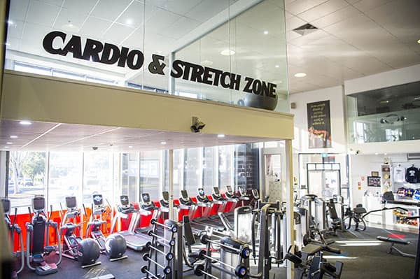 Cardio and stretch zone at Hammer's Gym Nunawading